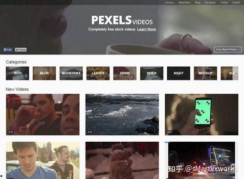 国外摄影师爆料视频素材,揭秘国外摄影师爆料的震撼视频素材幕后故事